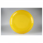 Plastprint Frisbee Keltainen/109